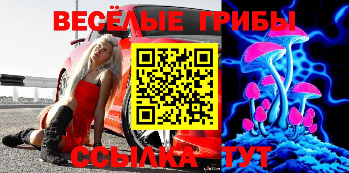 Галлюциногенные грибы Cubensis  Владикавказ 